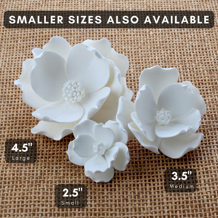 Large Magnolias - White