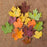 Individual Fall Leaf - Assorted Colors