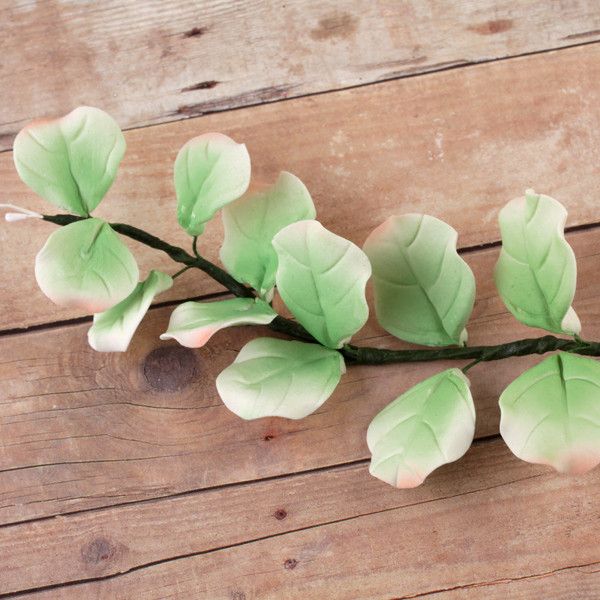 Eucalyptus leaf sugarflower from gumpaste perfect for cake decorating fondant cakes and wedding cakes. Wholesale sugarflowers and cake supply.