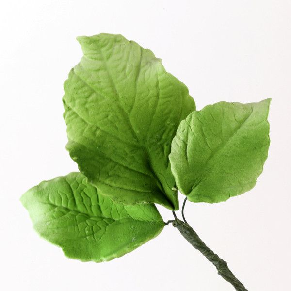 Green Hydrangea Leaves Sugarflowers made from gumpaste perfect as cake toppers for fondant wedding cakes.  Wholesale sugarflower cake decorations.