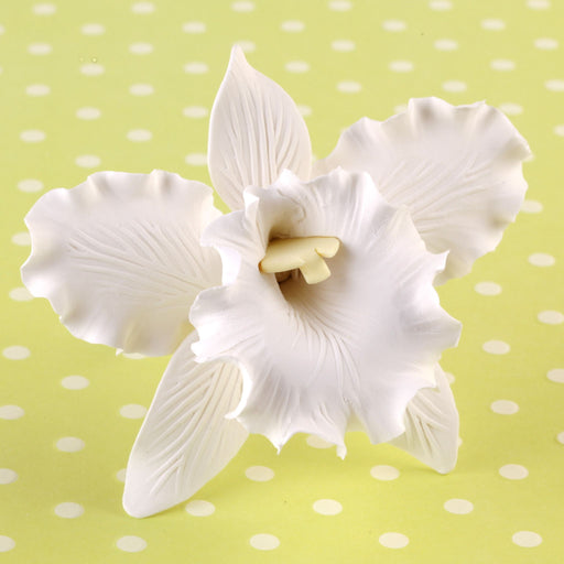 Edible Gumpaste Large White Cattleya sugar flower cake toppers and cake decorations perfect for cake decorating rolled fondant wedding cakes, cupcakes and birthday cakes and cupcakes.  Edible Cake Decoration and wholesale cake supplies.  |  CaljavaOnline.com