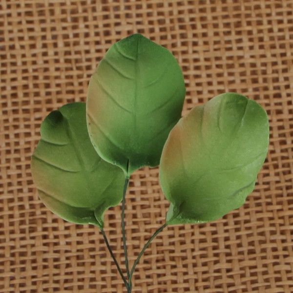 Rose Leaf - Green