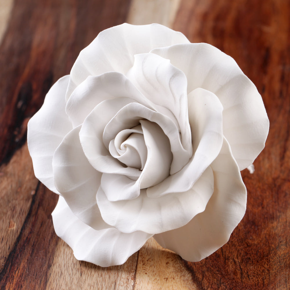 Extra Large Garden Roses - White