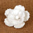 Gumpaste Poppy Sugarflower cake topper perfect for cake decorating fondant cakes & wedding cakes. | CaljavaOnline.com