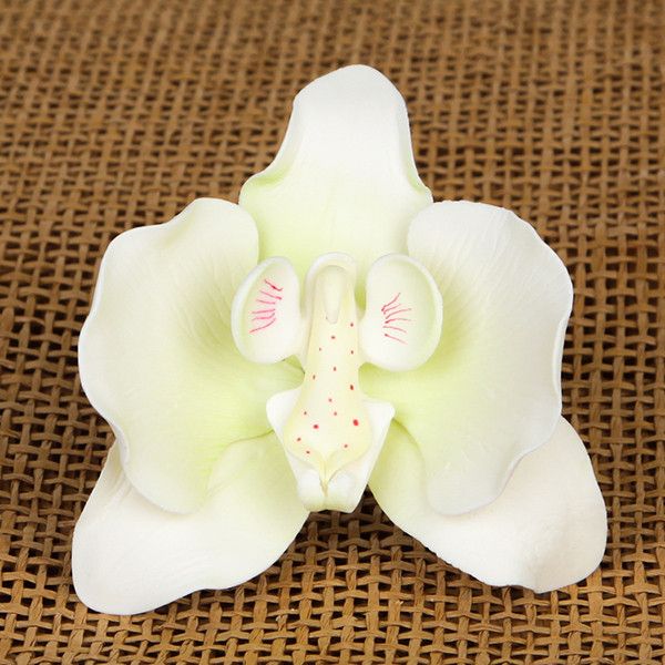 Moth Orchids - White with Green Hints