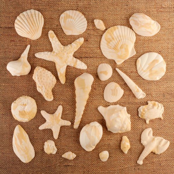 Marble Caramel Design Fondant Sea Shell & Sea Creatures handmade cake & cupcake decoration.