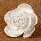Gum paste Succulent Sugar flower cake decoration perfect as a cake topper for wedding cakes. | CaljavaOnline.com