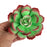Succulent sugarflower cake toppers great for cake decorating your own cakes and wedding cakes. | CaljavaOnline.com