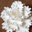 White Gumpaste Garden Peony sugarflower cake toppers perfect for cake decorating rolled fondant wedding cakes and birthday cakes.  Wholesale sugarflowers and wholesale cake supply. Garden Peonies - White.  Caljava