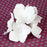 Hydrangea Sugarflower from gumpaste perfect as a cake topper for cake decorating fondant cakes and wedding cakes.  Baking and cake supply.