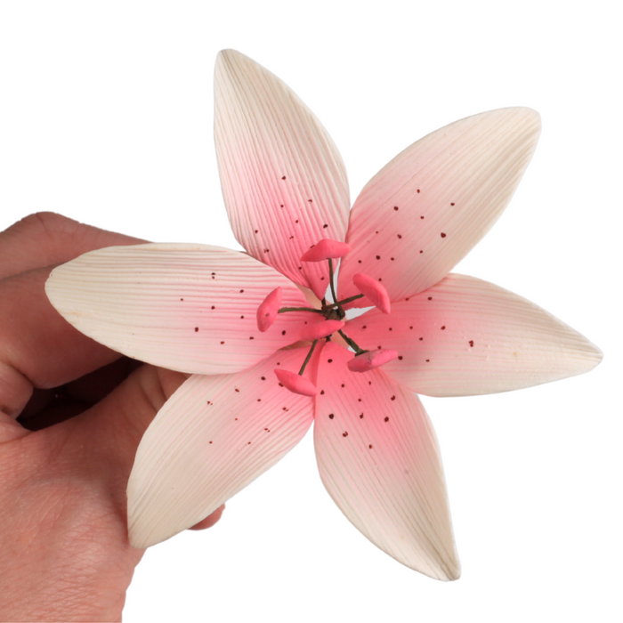 lily sugar flower Stargazer Lily