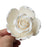 White Rose Sugar Flower Cake Topper for cake decorating your own cakes and wedding cakes.  Handmade cake decor for bakeries. Caljava