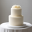 Extra Long Great Dane Cake Comb Icing Scraper