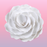 Extra Large Briar Roses - White