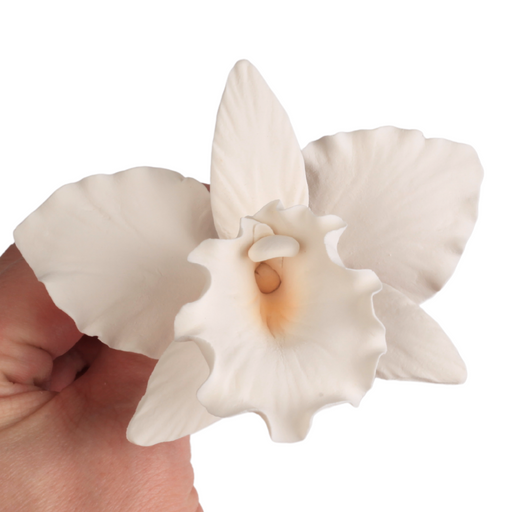 White Cattleya Orchid Gumpaste Cake Toppers – Ready-to-Use Wired Sugar Flowers (32 Ct)