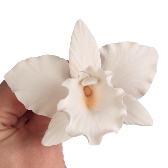White Cattleya Orchid Gumpaste Cake Toppers – Ready-to-Use Wired Sugar Flowers (32 Ct)