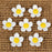 Medium Blossom Sugar Flowers - White