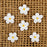 Small Blossom Sugar Flowers - White