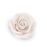 Mini white rose sugar flower decoration for wedding and celebration cakes