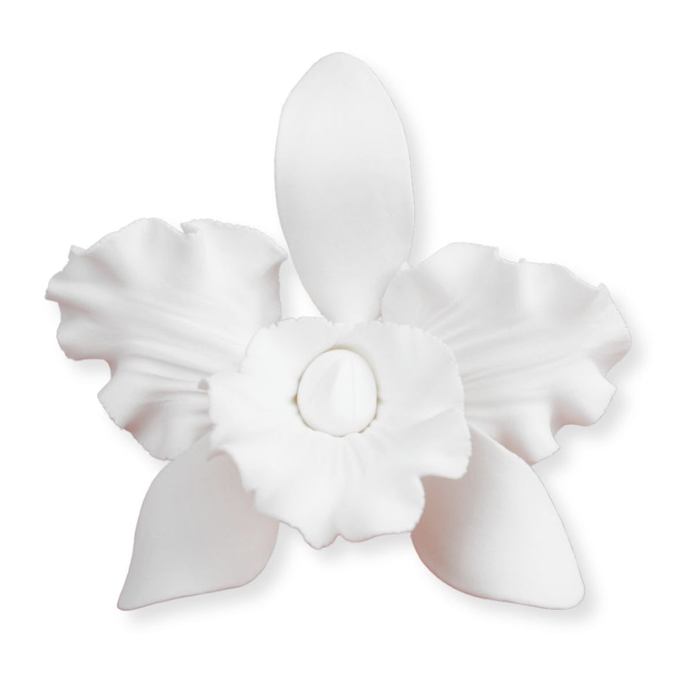 Handmade White Cattleya Orchid Gumpaste Flowers – Pre-Wired, Ready-to-Use Sugar Flowers for Professional Cake Decorators