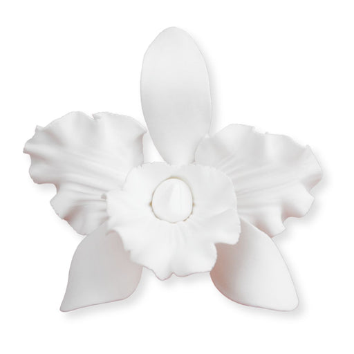 Handmade White Cattleya Orchid Gumpaste Flowers – Pre-Wired, Ready-to-Use Sugar Flowers for Professional Cake Decorators