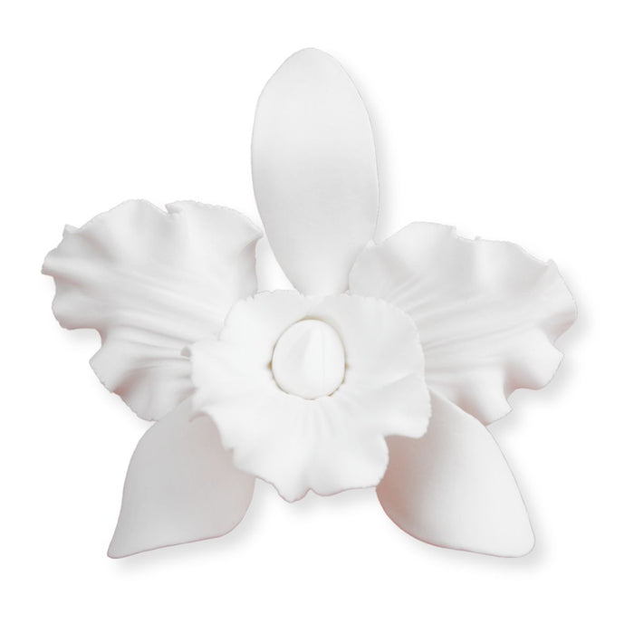 Handmade White Cattleya Orchid Gumpaste Flowers – Pre-Wired, Ready-to-Use Sugar Flowers for Professional Cake Decorators