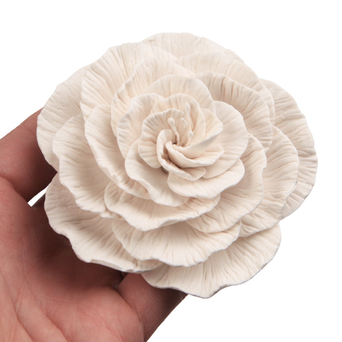 Edible white drift rose made from gum paste for cake decoration