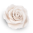 Realistic handmade white tea rose sugar flower cake topper ideal for wedding cakes by Caljava