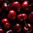 Black Cherry Ice Cream & Beverage Flavor by LorAnn Oils - CaljavaOnline1710-0800Flavor
