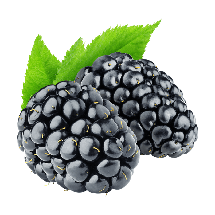 Black Raspberry Ice Cream & Beverage Flavor by LorAnn Oils - CaljavaOnline1715-0800Flavor