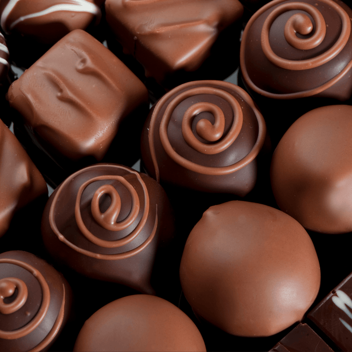 Blommer Chocolate Liquor Disks | 100% Unsweetened Pure Cocoa Mass Melting Wafers - CaljavaOnlineCWS-CHOCLIQUOR-40LBChocolate