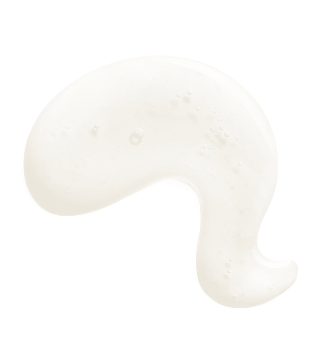 Champagne Compound Flavor by Amoretti - CaljavaOnlineAMRTI-314-60LBFlavor