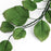 Classic green sugar leaves accenting white rose sugar flowers on a modern bridal shower celebration cake