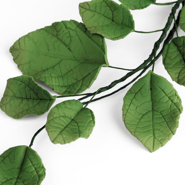 Classic green sugar leaves accenting white rose sugar flowers on a modern bridal shower celebration cake