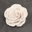 Drift Rose Flower - White - CaljavaOnlineRRSWSWHGumpaste Flowers