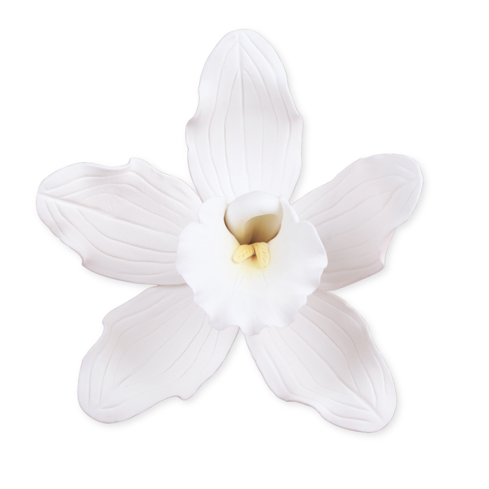 Premade white Cymbidium orchid sugar flower topper decorating a modern textured buttercream cake.