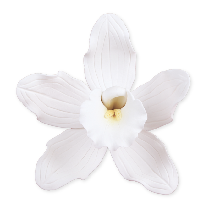 Premade white Cymbidium orchid sugar flower topper decorating a modern textured buttercream cake.