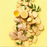 Ginger Extract Water Soluble by Amoretti - CaljavaOnlineAMRTI-522-2OZFlavor
