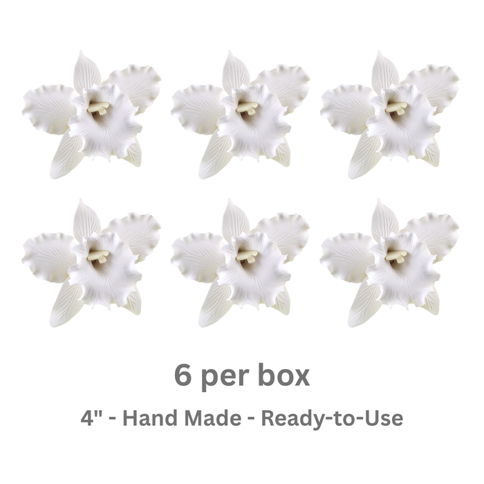 Close-up of a handcrafted 4-inch white Cattleya orchid sugar flower showing detailed petals and realistic center.