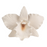 Close-up view of a handcrafted white gumpaste Cattleya orchid flower showing detailed petals and realistic yellow center by Caljava