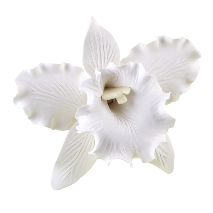 Box of 6 premade large white Cattleya orchid gumpaste sugar flowers for cake decorating.