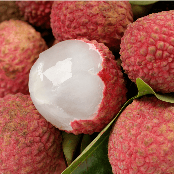 Lychee Extract Water Soluble by Amoretti - CaljavaOnlineAMRTI-586-9.5LBFlavor