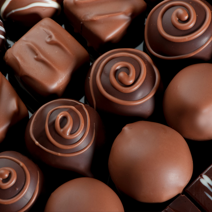 Pouring tempered Blommer Marquette Gold dark chocolate into polycarbonate candy molds for artisan bonbons.