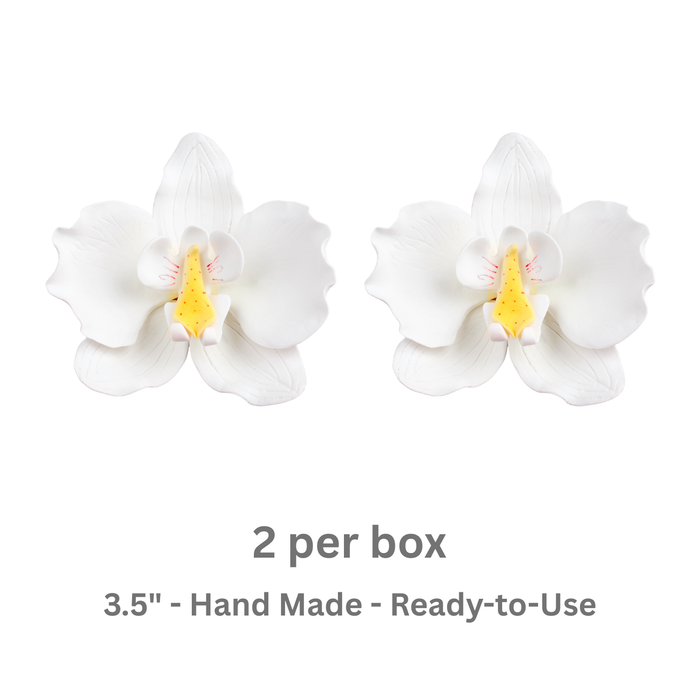 Pair of premade white Phalaenopsis moth orchid sugar flowers side-by-side for tiered cake styling.
