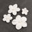 White Blossoms w/ Pearl Centers - CaljavaOnlineWRP5-5CMWHGumpaste Flowers