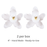 hite Cymbidium orchid sugar flower used as a chic focal accent on an anniversary and milestone party cake.