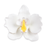 Elegant white Moth Orchid gumpaste flower accenting a multi-tiered wedding cake by Caljava