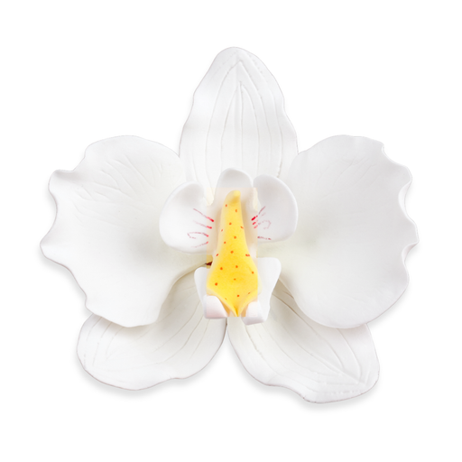 Elegant white Moth Orchid gumpaste flower accenting a multi-tiered wedding cake by Caljava