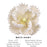 Ready-to-use white peony sugar flower cake topper for professional wedding cake decorating by caljava