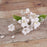 Box of 9 pre-wired white Singapore orchid sugar flower sprays for cake decorating.